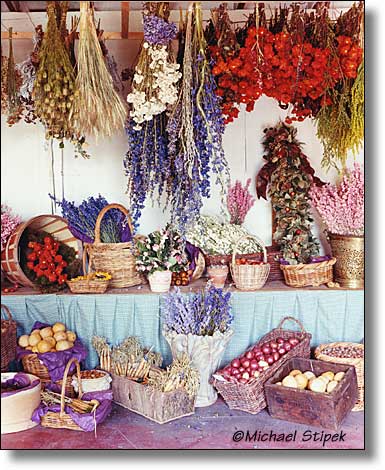 Dried Beauties