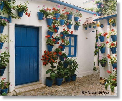 El Paseo